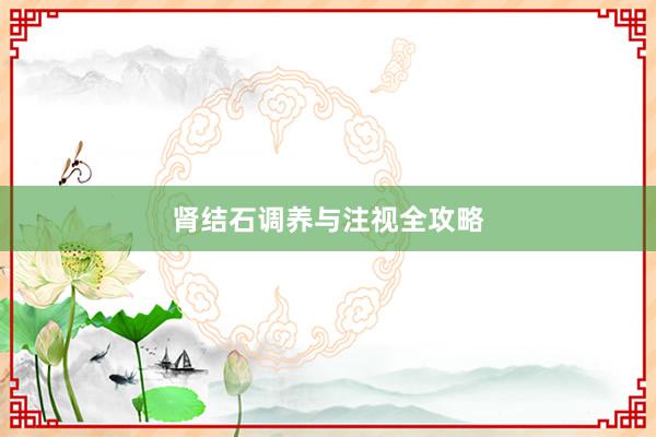 肾结石调养与注视全攻略