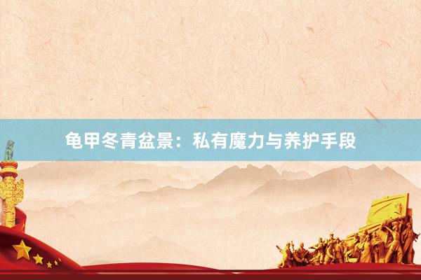龟甲冬青盆景：私有魔力与养护手段