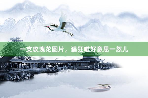 一支玫瑰花图片，猖狂唯好意思一忽儿