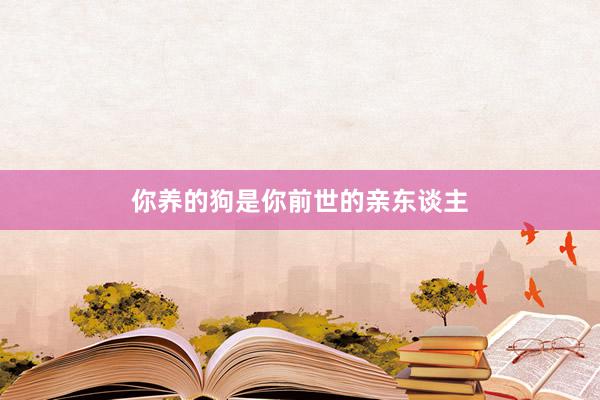 你养的狗是你前世的亲东谈主