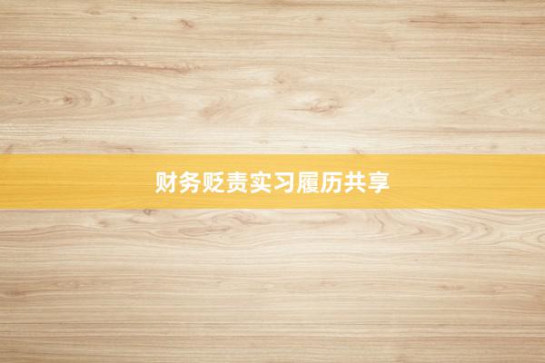 财务贬责实习履历共享